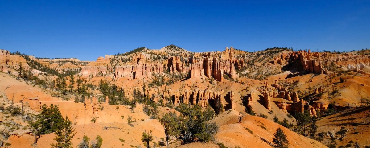 Escapade à Bryce Canyon