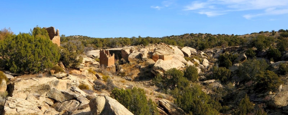 Holly Group à Hovenweep