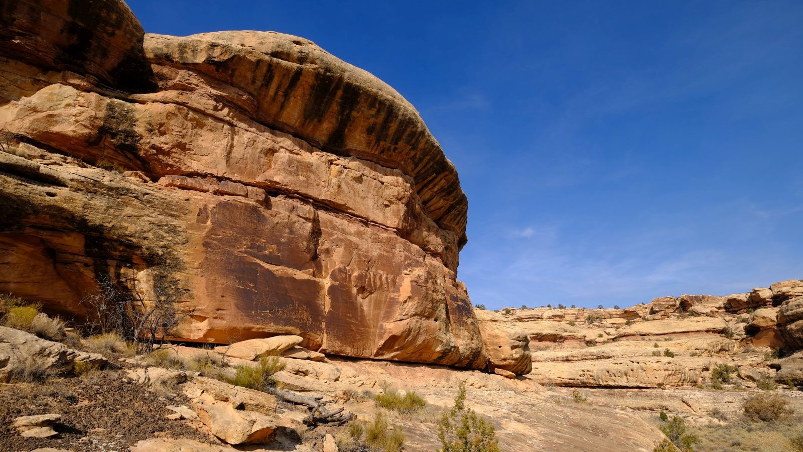 Railroad Panel – Grand Gulch – Bears Ears National Monument – Utah – États-Unis