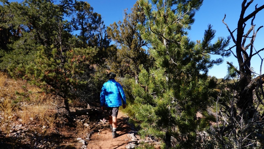 En remontant par le Sandal Trail, au Navajo National Monument.