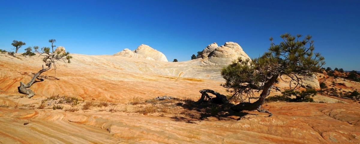 Canaan Mountain et les White Domes en 2019