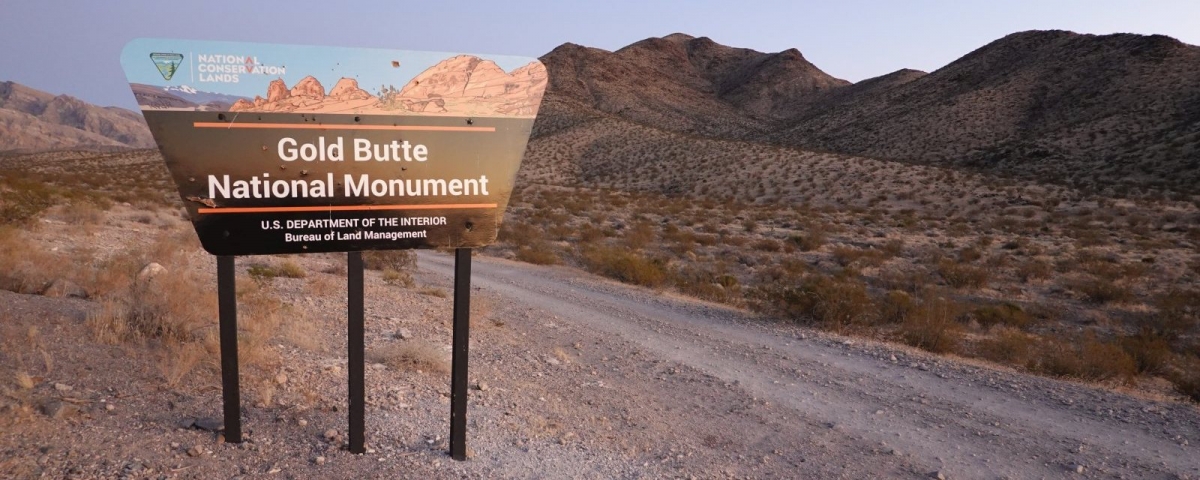 Gold Butte National Monument