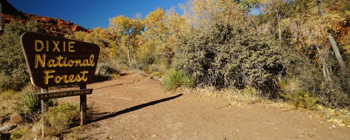 Dixie National Forest