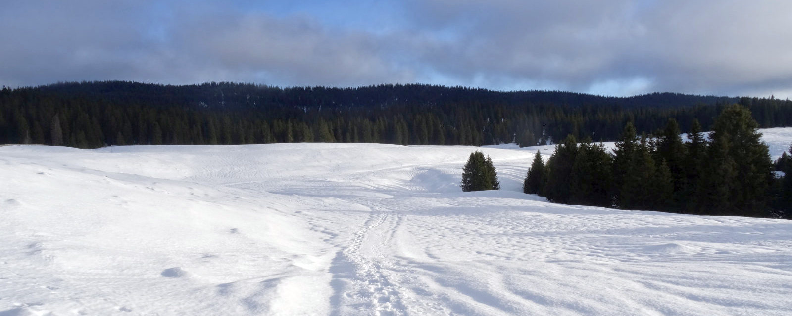 Hiver 2019-2020
