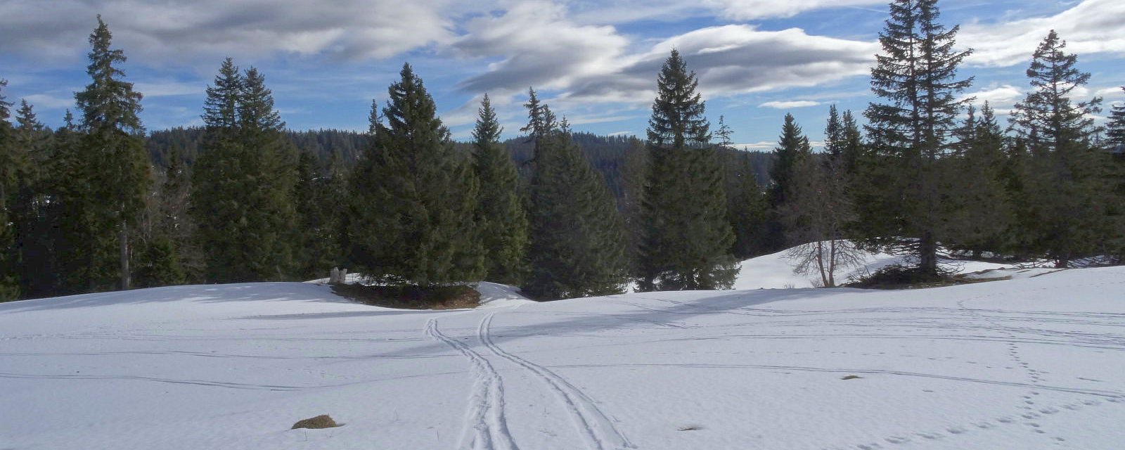 Hiver 2019-2020