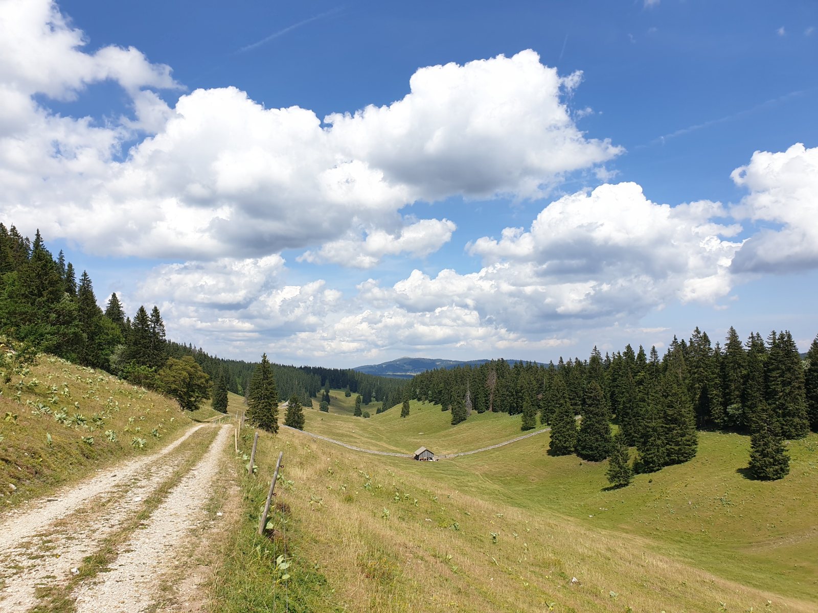 Couvert des Begnines – Arzier-Le Muids – Vaud – Suisse