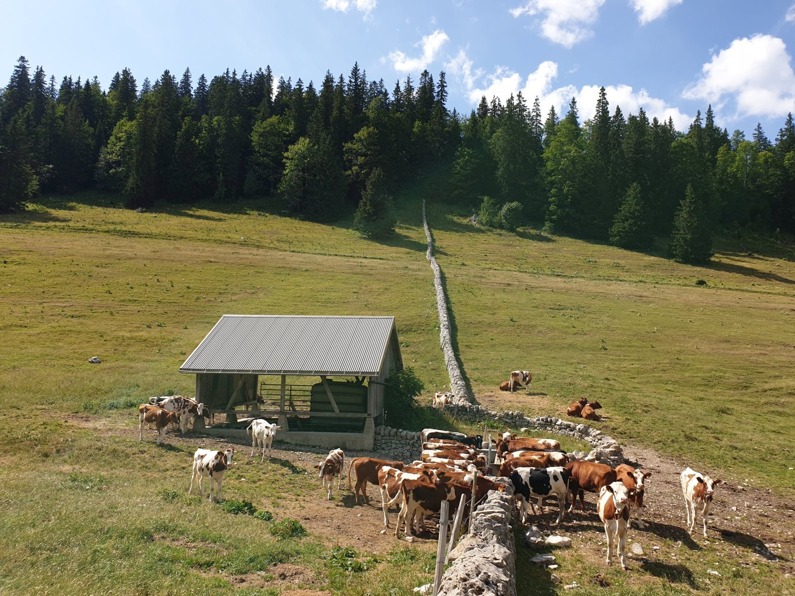 Couvert des Begnines – Arzier-Le Muids – Vaud – Suisse