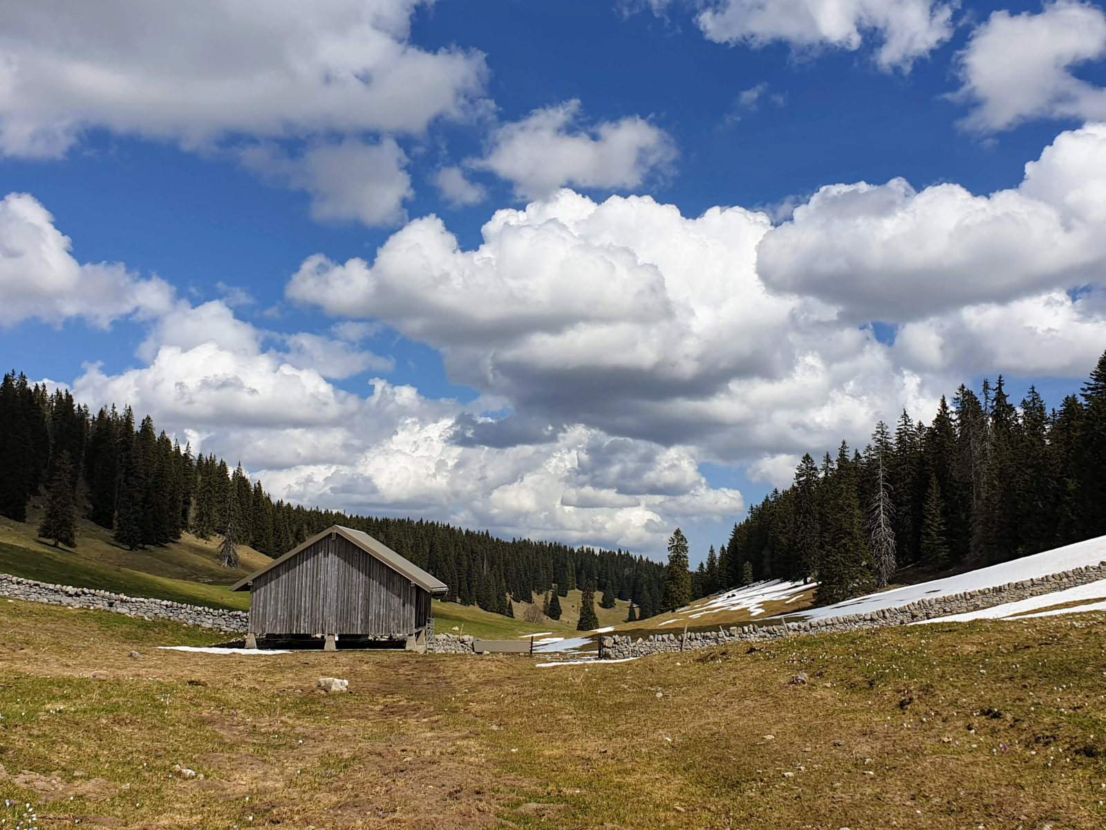 Couvert des Begnines – Arzier-Le Muids – Vaud – Suisse