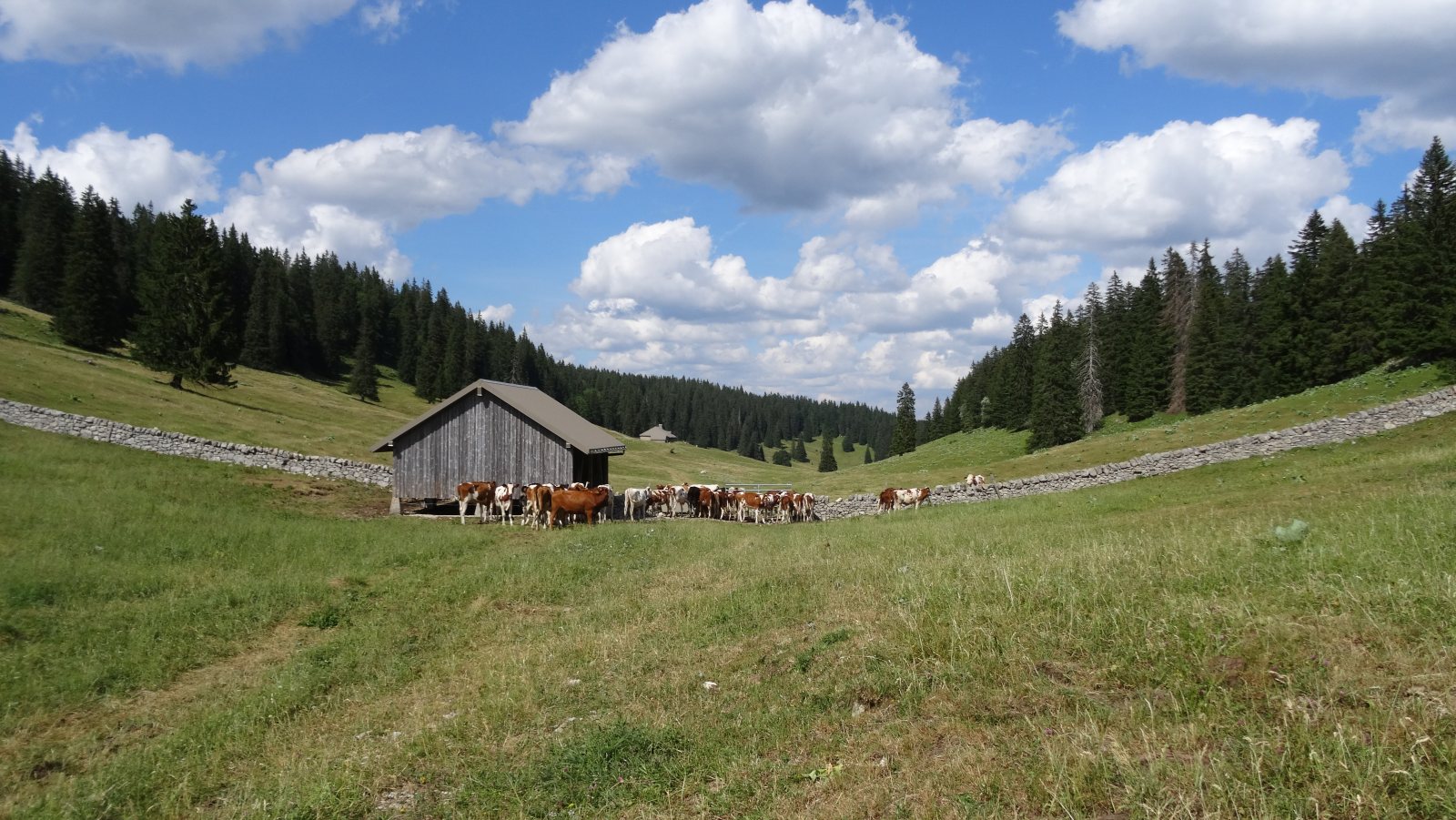 Couvert des Begnines – Arzier-Le Muids – Vaud – Suisse