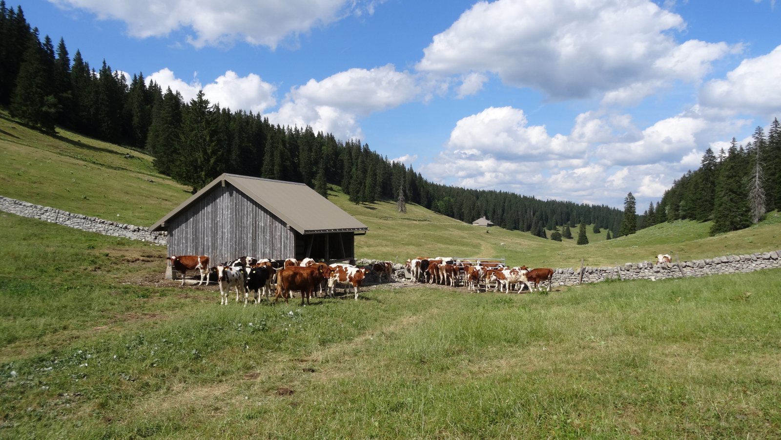 Couvert des Begnines – Arzier-Le Muids – Vaud – Suisse