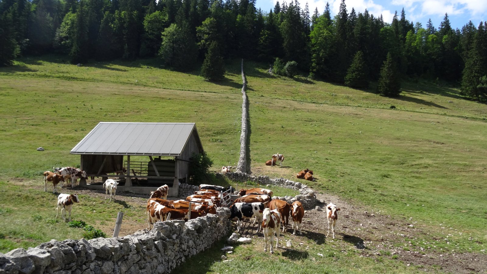 Couvert des Begnines – Arzier-Le Muids – Vaud – Suisse