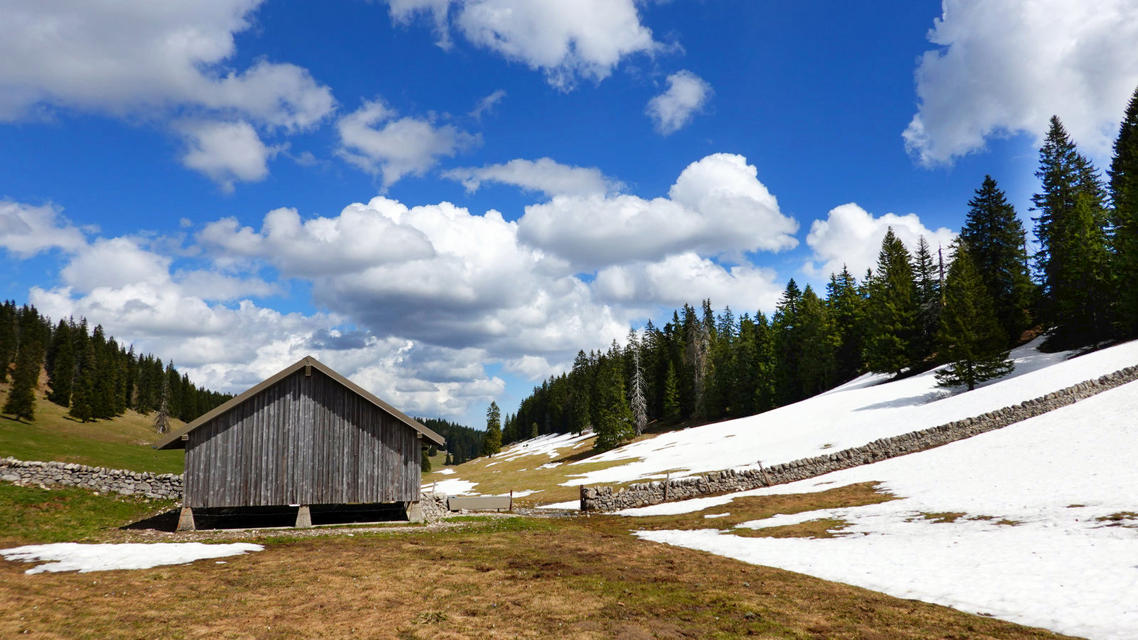 Couvert des Begnines – Arzier-Le Muids – Vaud – Suisse