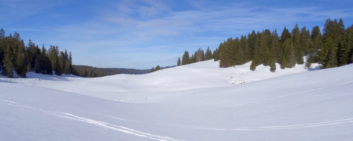 La Combe des Puits