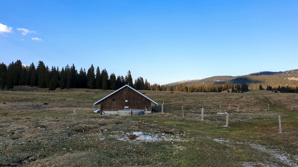 Couvert de La Plateforme - Le Chenit - Vaud - Su