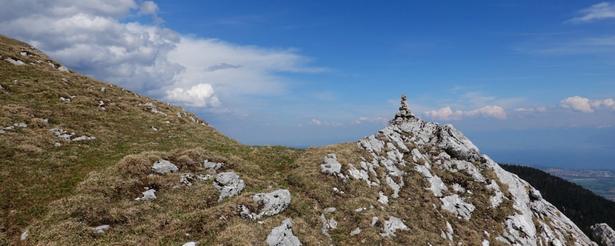 Par le Bois des Balandes Dessous