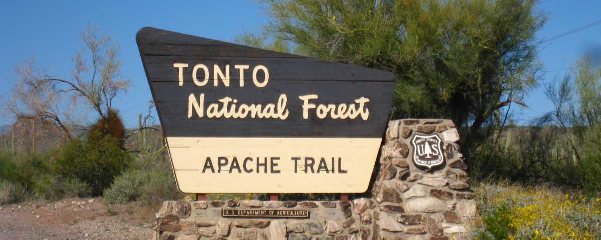 Tonto National Forest
