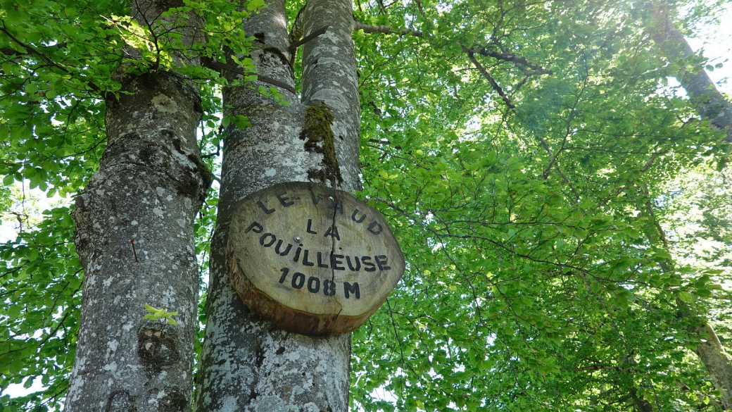 La Pouilleuse - Marchissy - Vaud - Suisse