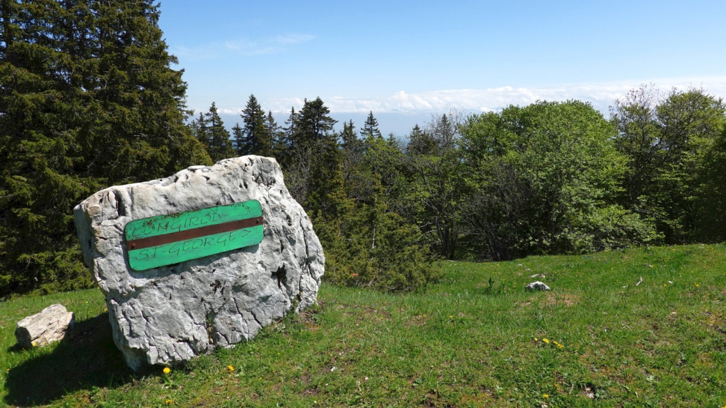 Crêt de la Neuve - Longirod - Vaud - Suisse