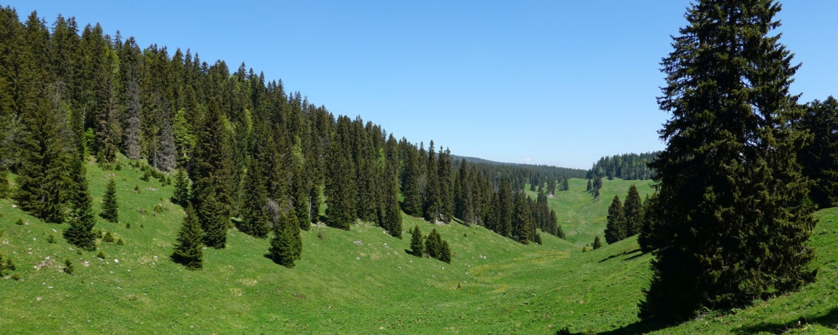 La Combe de la Valouse