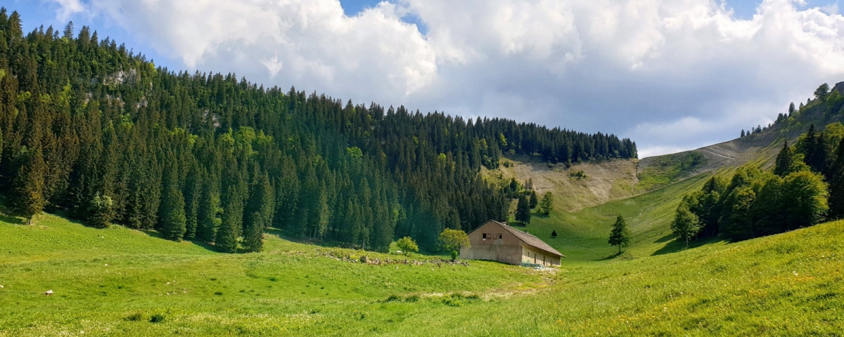 La bergerie du Creux du Croue