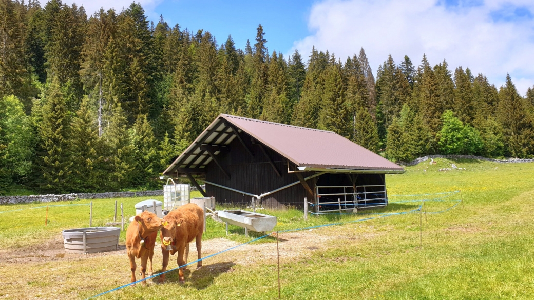 Couvert du Pré de Rolle - Saint-George - Vaud - Suisse