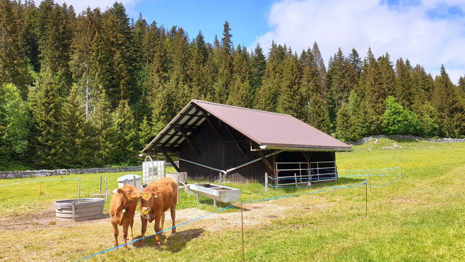 Couvert du Pré de Rolle – Saint-George – Vaud – Suisse