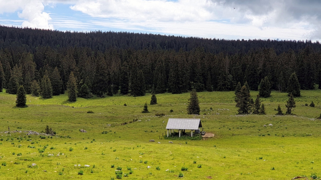 Couvert de la Rionde-Derrière - Bassins - Vaud - Suisse