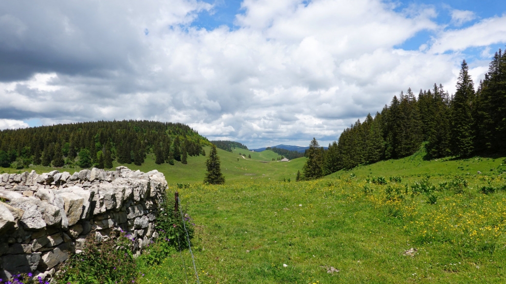 Cabane des Électriciens - Arzier-Le Muids - Vaud - Suisse