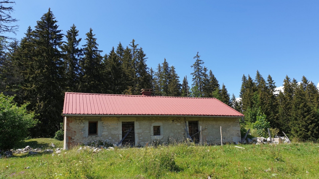 Chalet sur le pâturage de La Baragne - Arzier-Le Muids - Vaud - Suisse