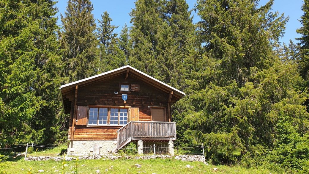 Cabane des Saules - L'Abbaye - Vaud - Suisse