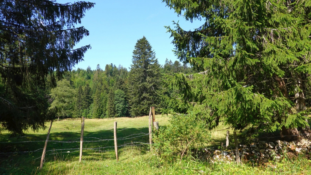 Le Pré à la Dame, un petit pâturage situé près du Mont Bailly, à Saint George.