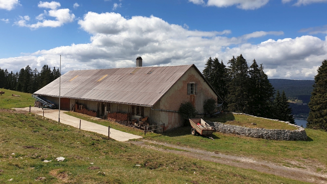 Pièce à Neveu - L'Abbaye - Vaud - Suisse