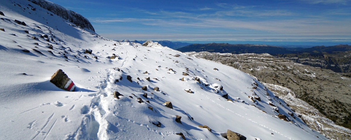 First - Schynige Platte