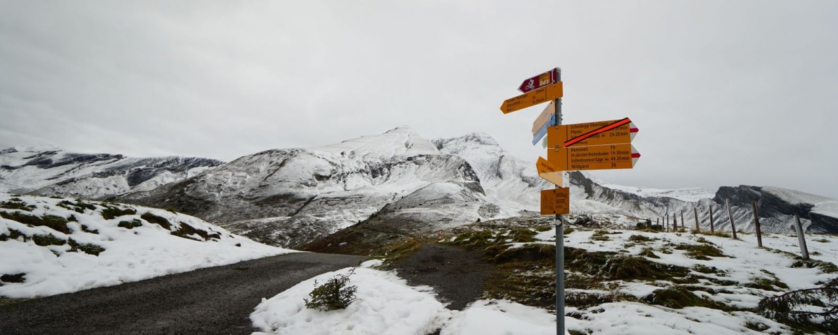 Grosse Scheidegg - First