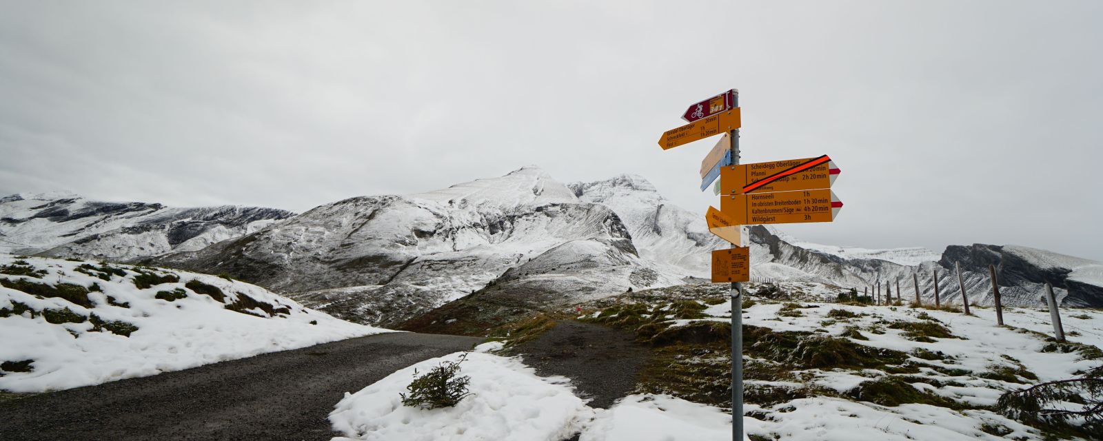 Grosse Scheidegg – First