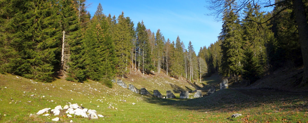 La Combe de la Verrière