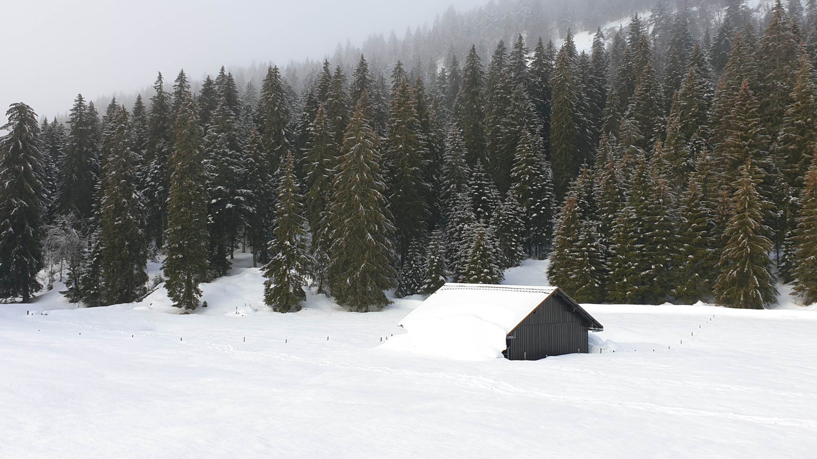 Couvert du Pré de Rolle – Saint-George – Vaud – Suisse