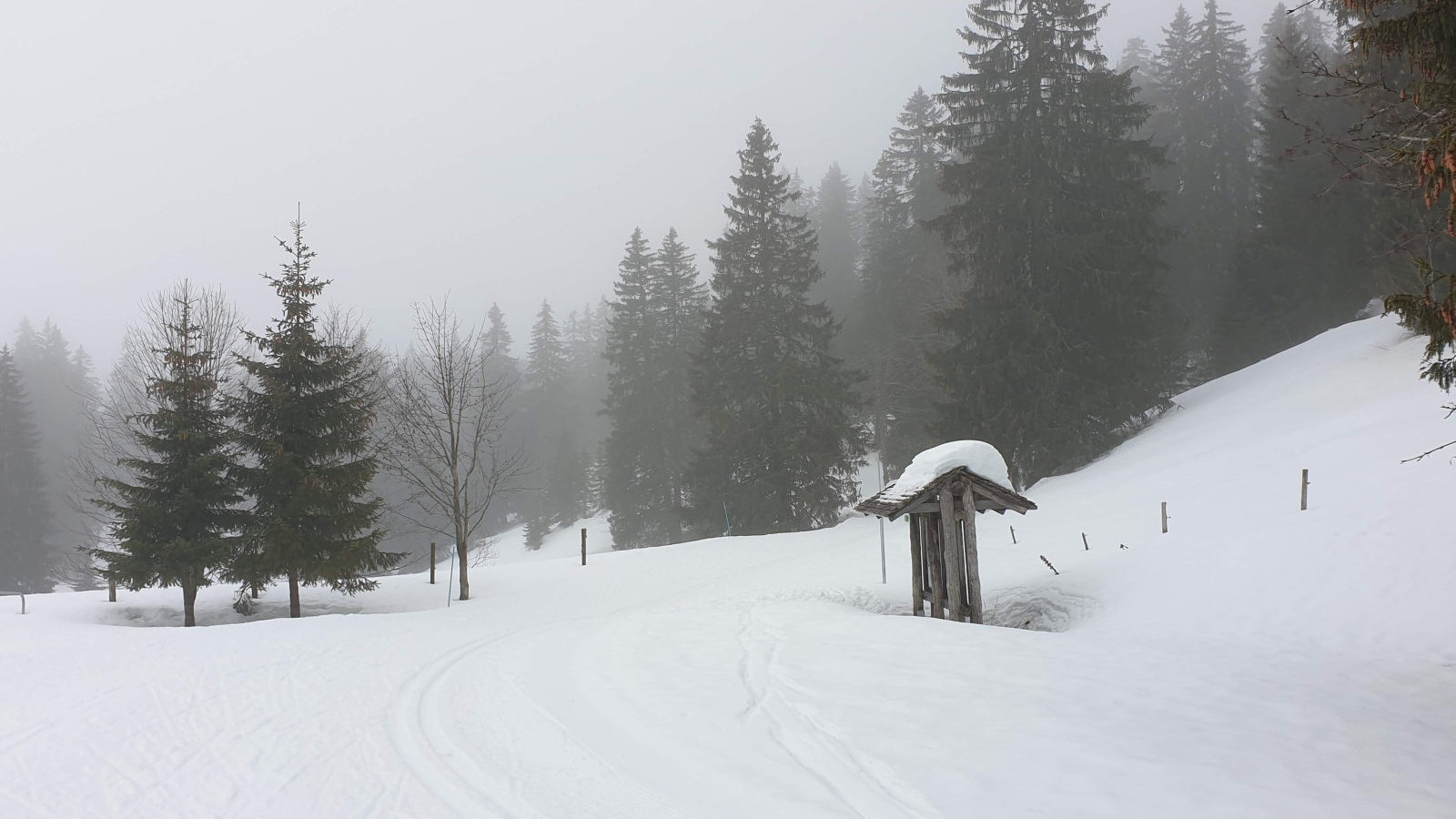 Parking de la Bassine – Bassins – Vaud – Suisse