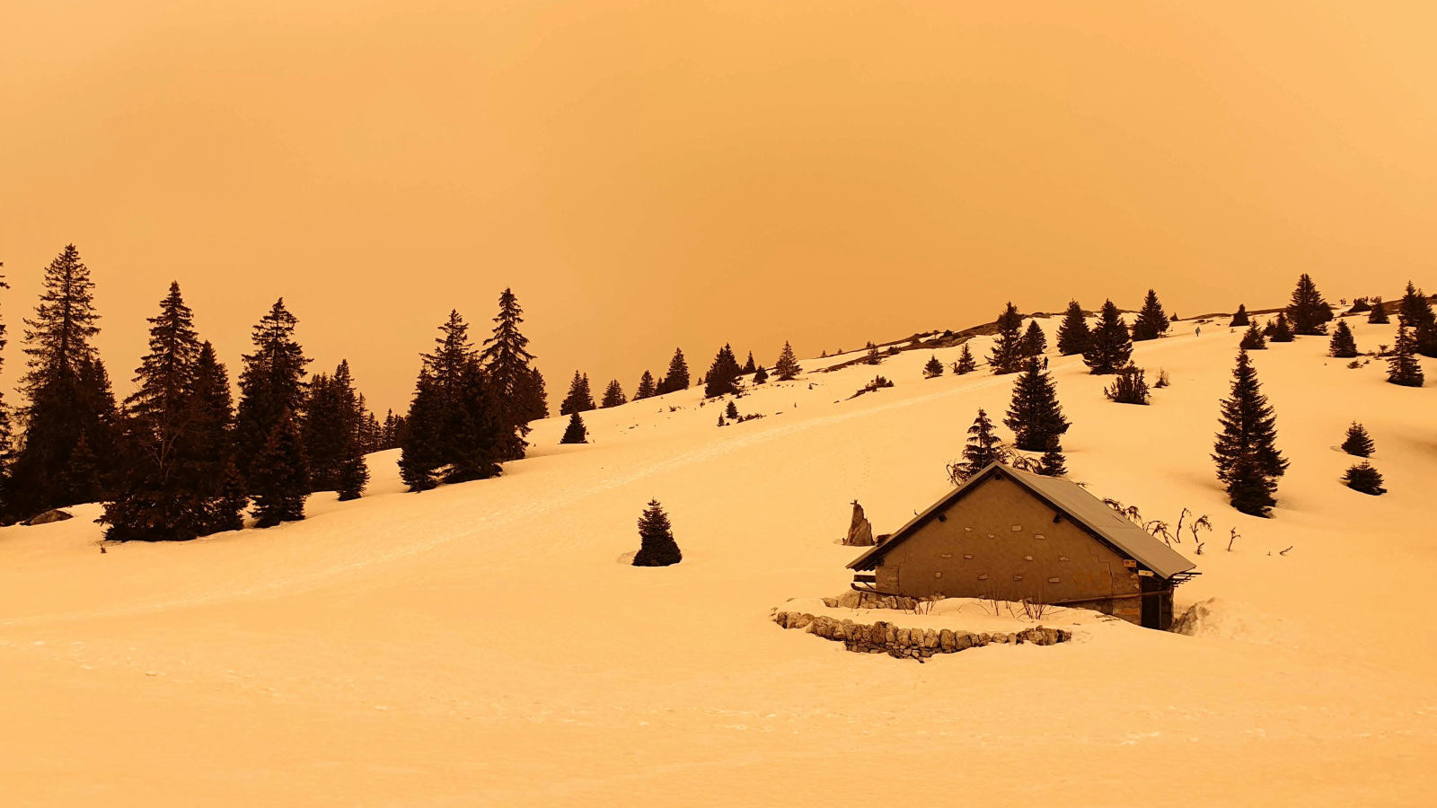 Couvert du Grand Cunay – Le Chenit – Vaud – Suisse