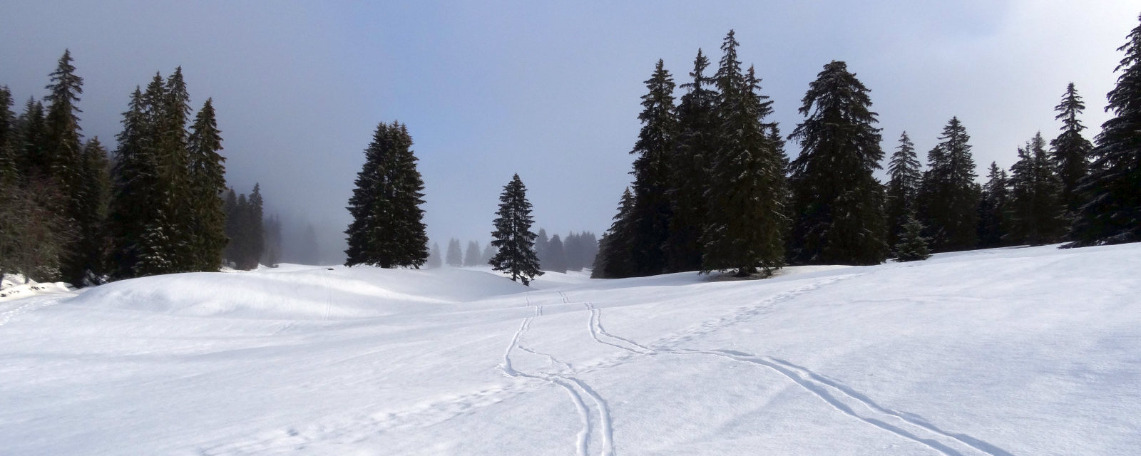 Hiver 2020-2021
