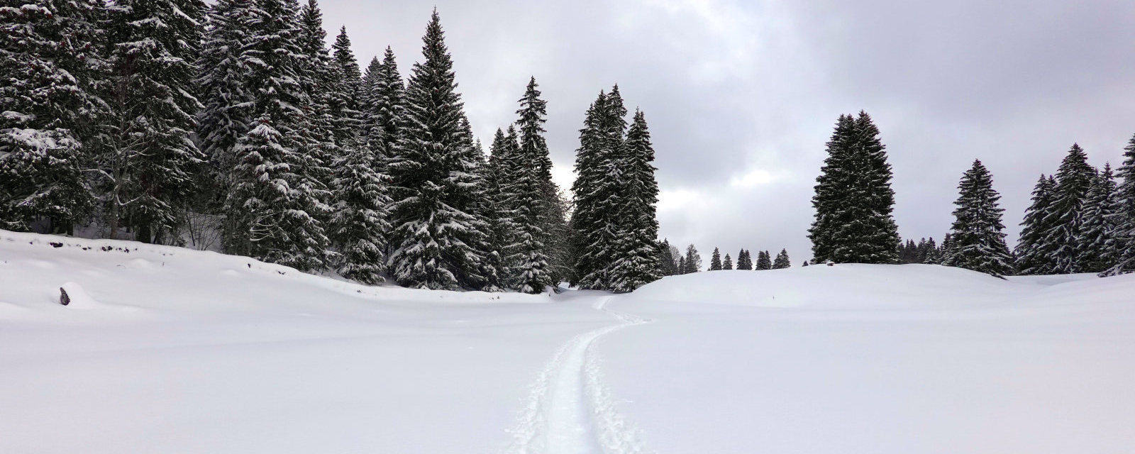 Hiver 2020