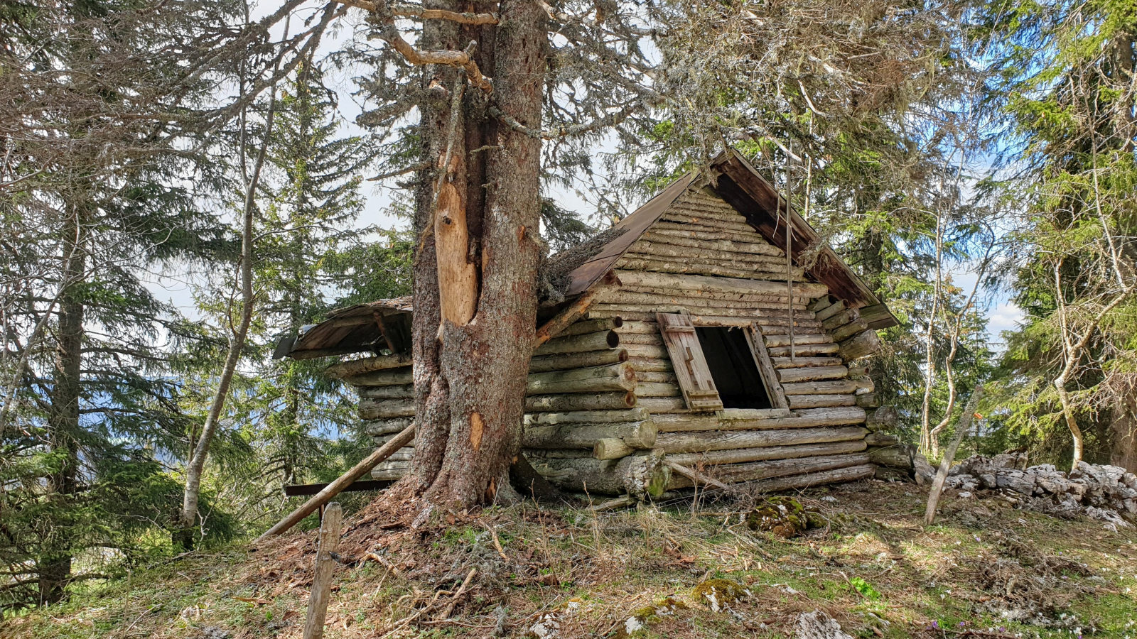 La Soldanelle – Le Chenit – Vaud – Suisse