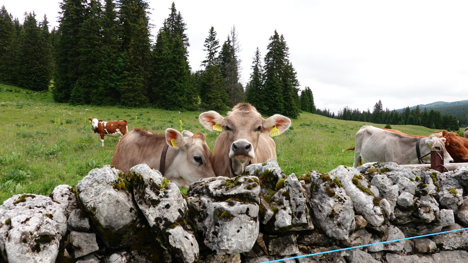 La Perrause – Le Chenit – Vaud – Suisse