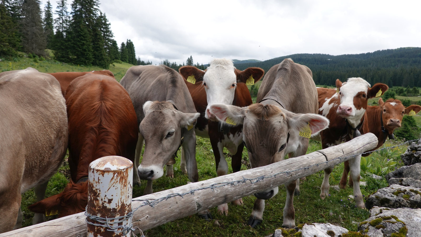 La Perrause – Le Chenit – Vaud – Suisse