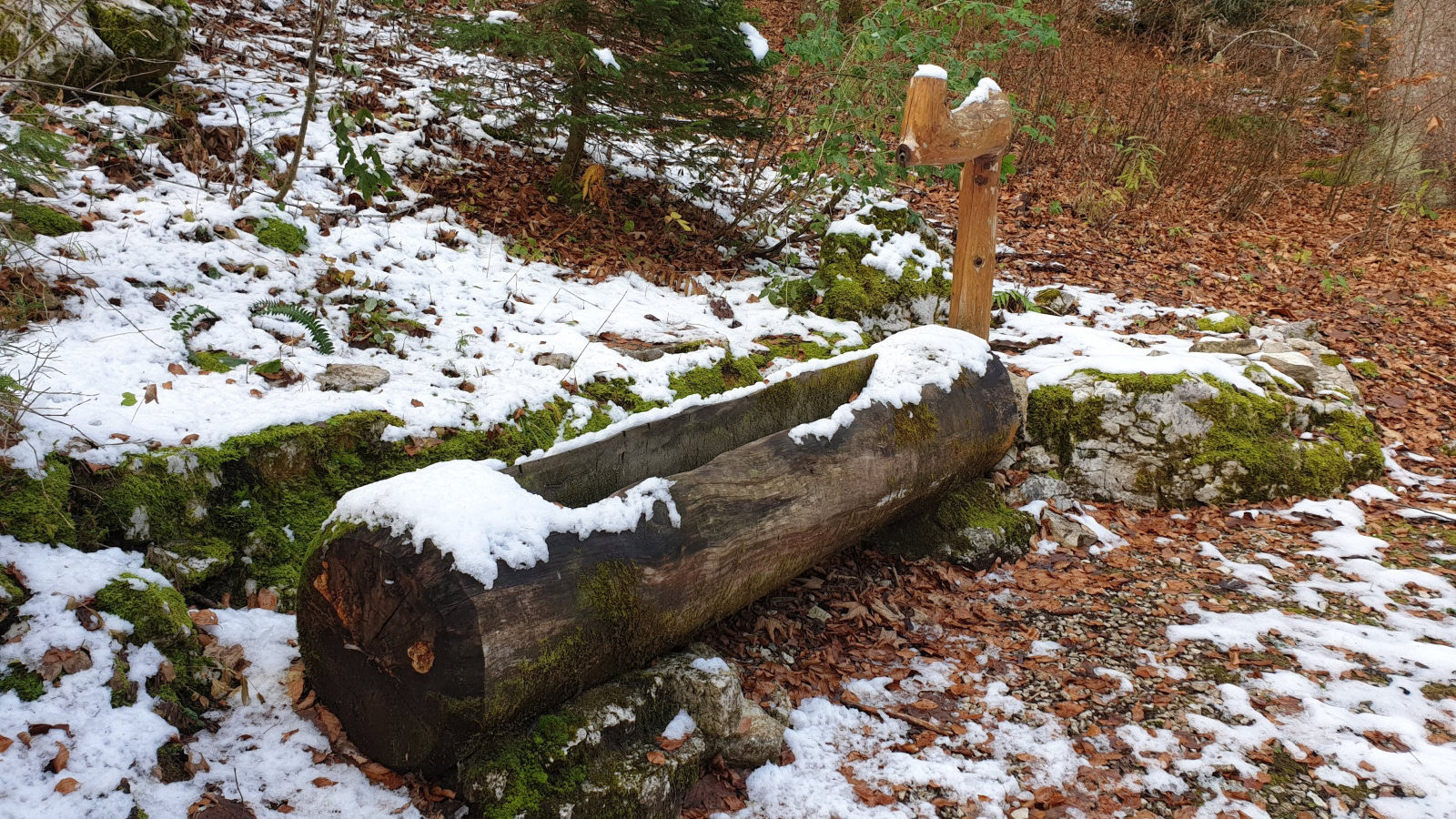 Fontaine Valier – Saint-George – Vaud – Suisse