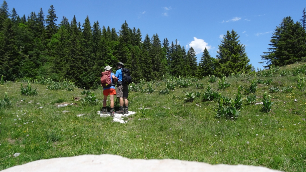 Potraux - La Rippe - Vaud- Suisse