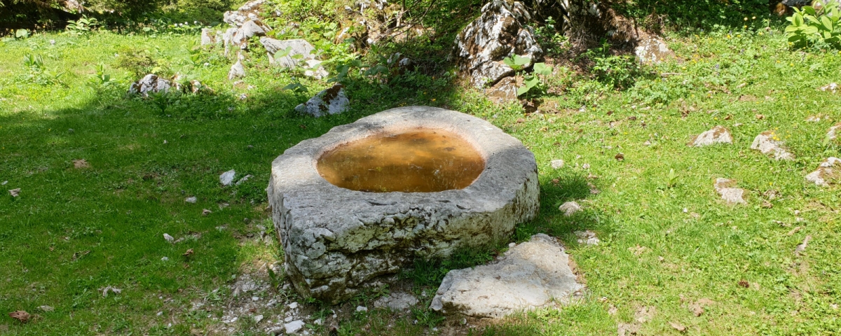La Fontaine aux Druides