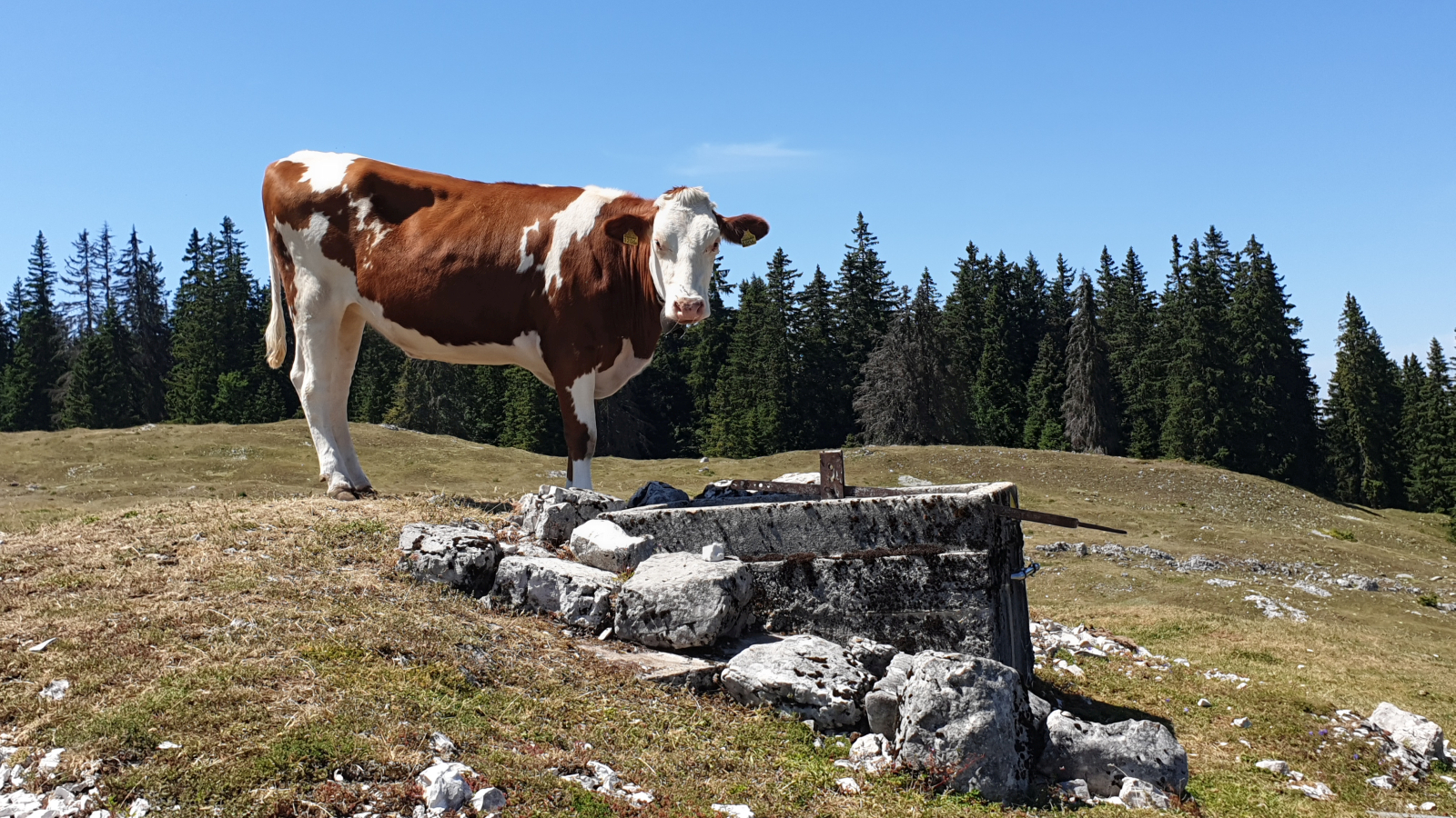 Chalet à Roch Dessus – Le Chenit – Vaud – Suisse