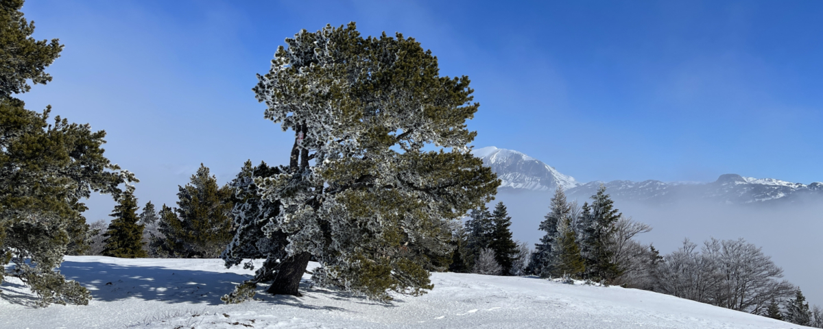 Raid en SRN dans le Vercors - Jour 1