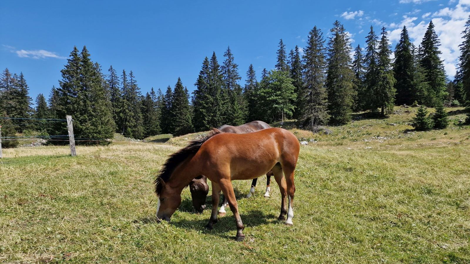 La Neuve – Le Chenit – Vaud – Suisse